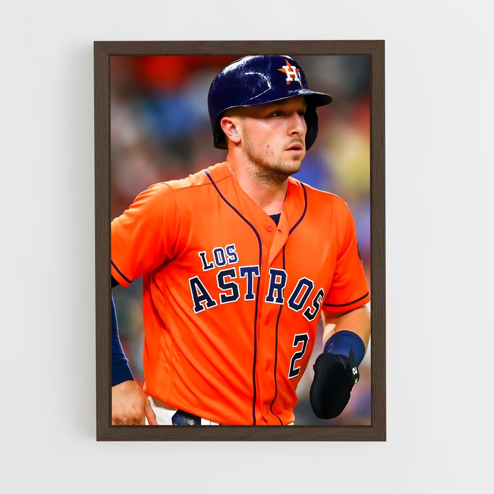 Poster Fastball Fury – affiche Baseball (vue 5)